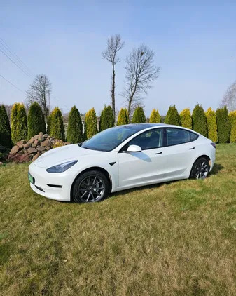 samochody osobowe Tesla Model 3 cena 139000 przebieg: 19000, rok produkcji 2021 z Dąbrowa Tarnowska